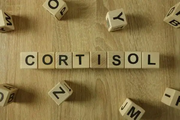 The Hidden Connection: How Stress Shapes Your Fitness and Body Composition 2 Image saying "Cortisol" and how stress Wiltshire impacts your wellbeing and bodies shape